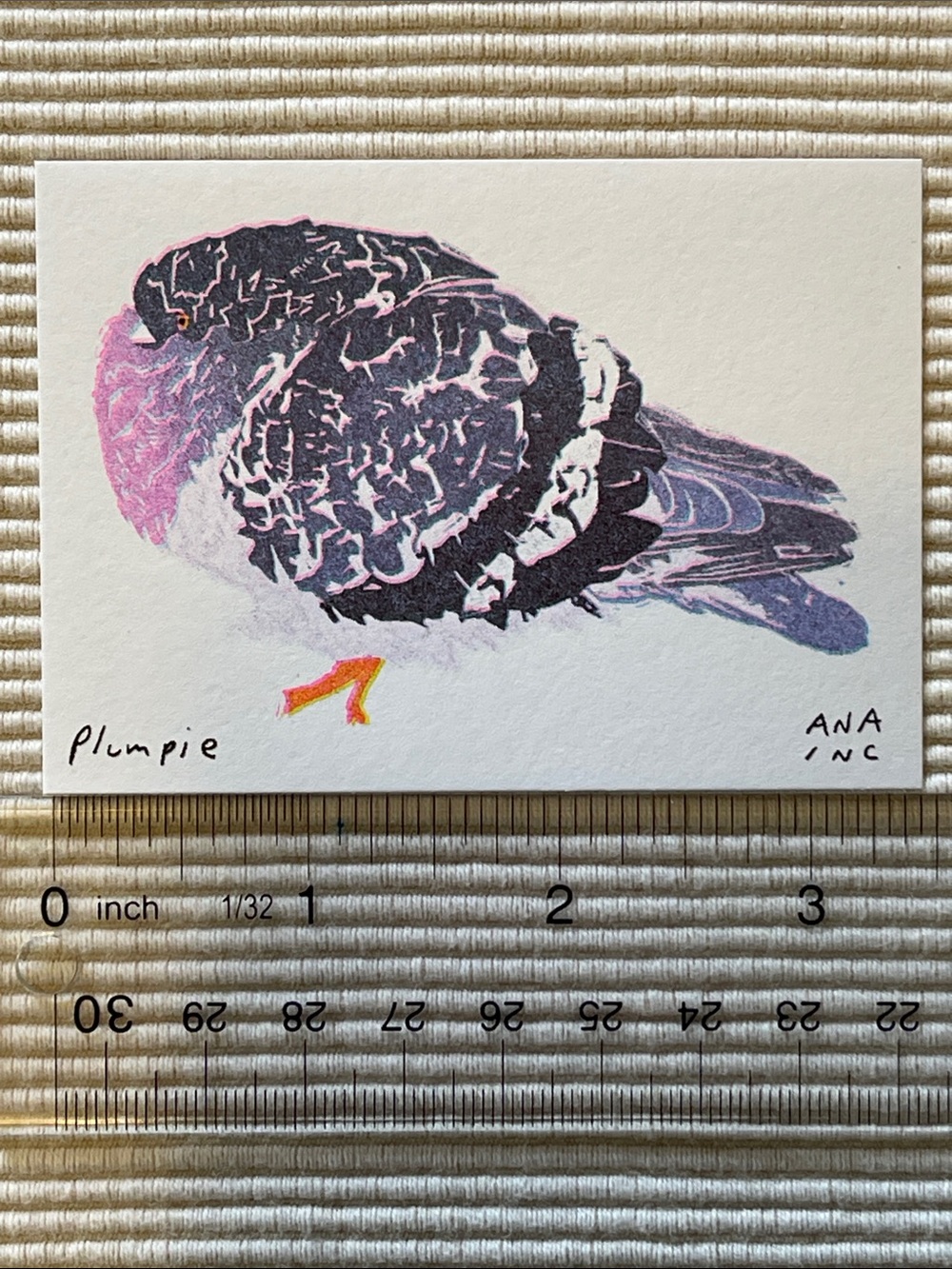 Anastasia Inciardi "Plumpie” Pigeon Mini Print - Picture 3 of 3